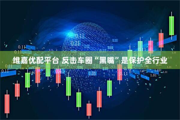 维嘉优配平台 反击车圈“黑嘴”是保护全行业