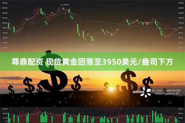 尊鼎配资 现货黄金回落至3950美元/盎司下方
