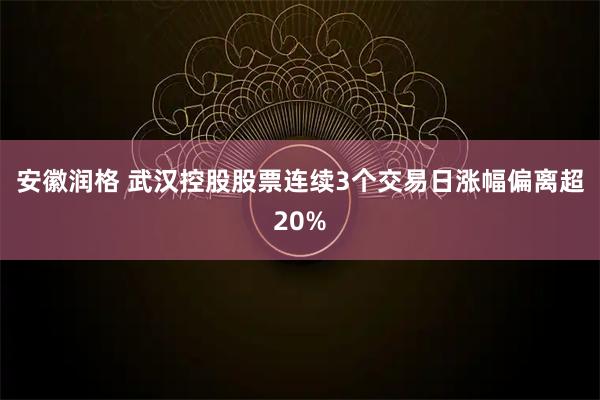 安徽润格 武汉控股股票连续3个交易日涨幅偏离超20%