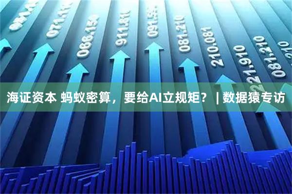 海证资本 蚂蚁密算，要给AI立规矩？ | 数据猿专访